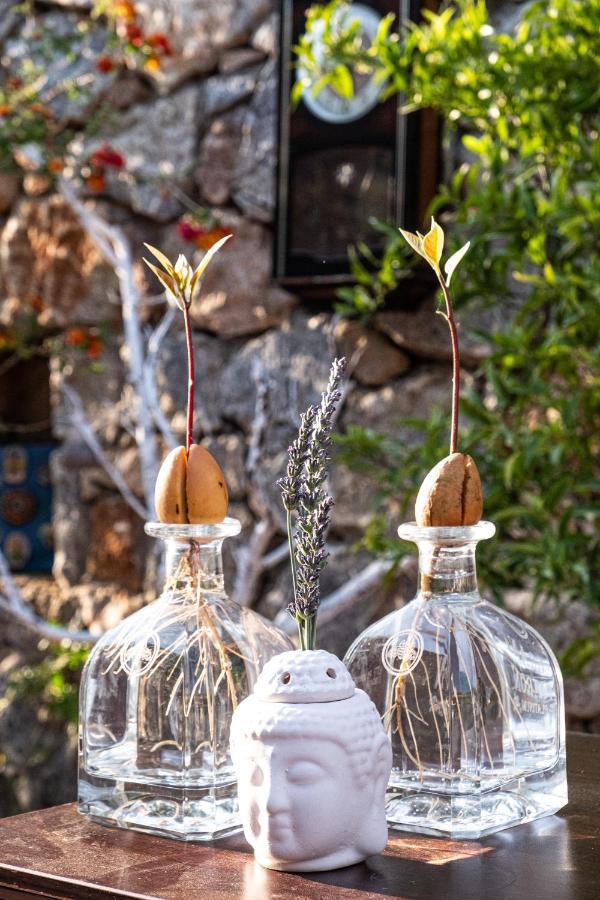 Casa Di Pietra Otel Fethiye